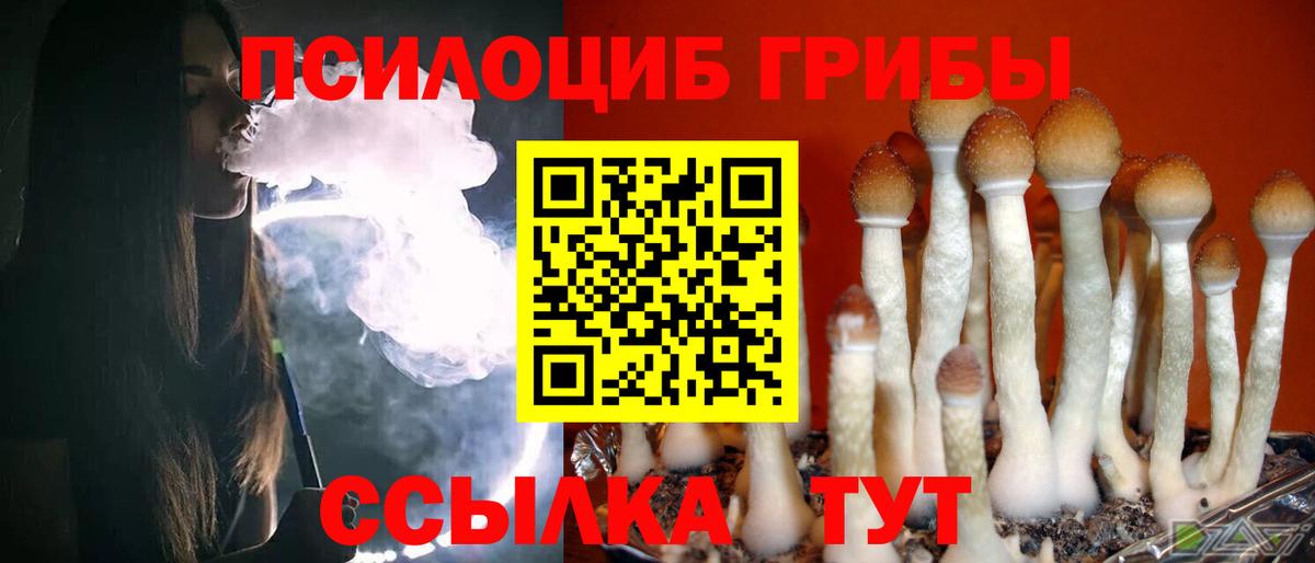Галлюциногенные грибы Cubensis  Вход с VPN  наркотики  Дзержинский 