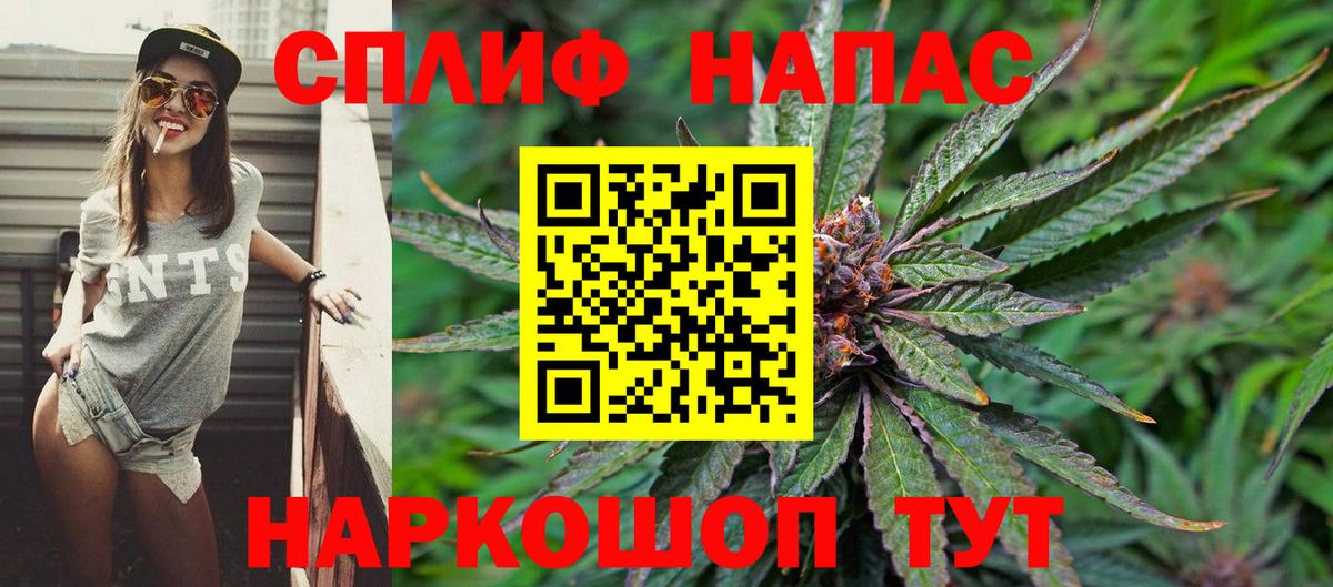 Конопля ГИДРОПОН Дзержинский